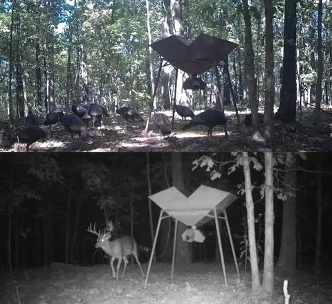 Nn Firetower Road, Hardy, AR 72542