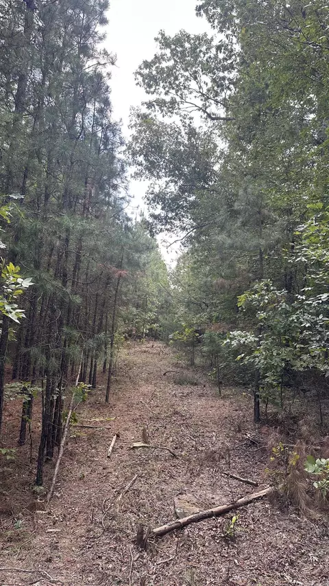 000 Goff Rd Via Easement, Quitman, AR 72131 photo 24