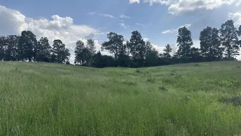 000 Goff Rd Via Easement, Quitman, AR 72131 photo 13