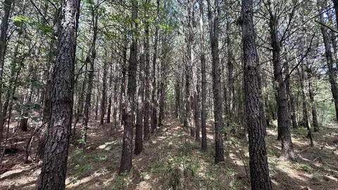 000 Goff Rd Via Easement, Quitman, AR 72131 photo 22