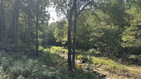 000 Goff Rd Via Easement, Quitman, AR 72131 photo 16