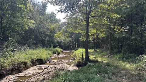 000 Goff Rd Via Easement, Quitman, AR 72131 photo 19