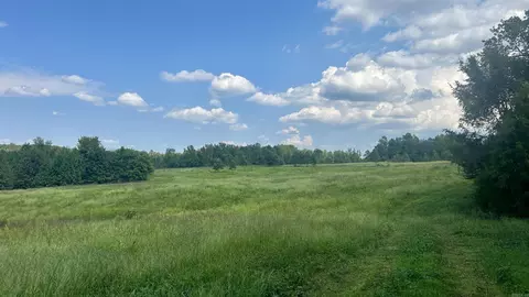 000 Goff Rd Via Easement, Quitman, AR 72131 photo 7