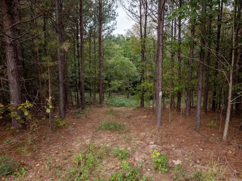 000 Goff Rd Via Easement, Quitman, AR 72131 photo 15