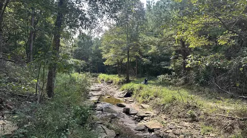 000 Goff Rd Via Easement, Quitman, AR 72131 photo 17