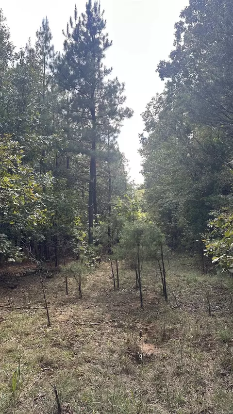 000 Goff Rd Via Easement, Quitman, AR 72131 photo 27