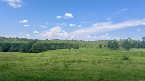 000 Goff Rd Via Easement, Quitman, AR 72131 photo 26