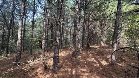 000 Goff Rd Via Easement, Quitman, AR 72131 photo 29
