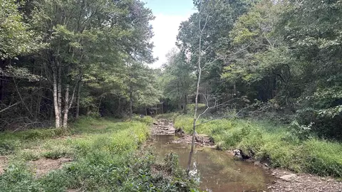 000 Goff Rd Via Easement, Quitman, AR 72131 photo 18