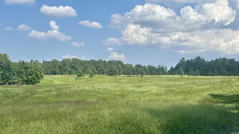000 Goff Rd Via Easement, Quitman, AR 72131 photo 25