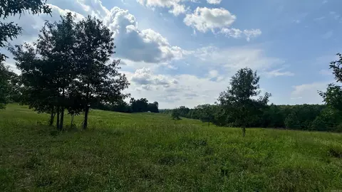 000 Goff Rd Via Easement, Quitman, AR 72131 photo 30