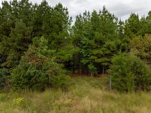 000 Goff Rd Via Easement, Quitman, AR 72131 photo 14