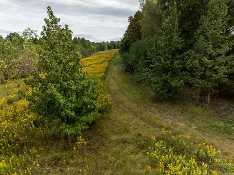 000 Goff Rd Via Easement, Quitman, AR 72131 photo 6