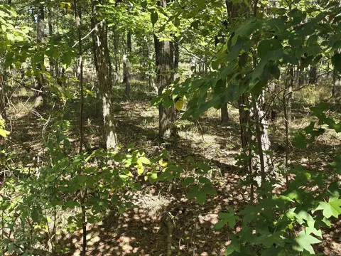 lot416 Plum Holw, Hot Springs, AR 71913