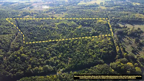 51 Shelton Rd, Bee Branch, AR 72013