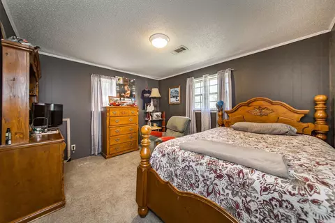 2607 Chestnut Dr, Bismarck, AR 71929 photo 10