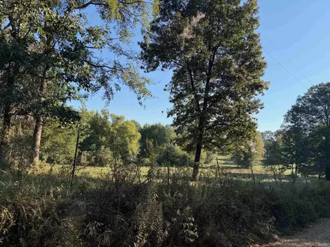 tbd Polk Road 19, Cove, AR 71937