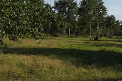 Library Road, Dover, AR 72837 photo 3