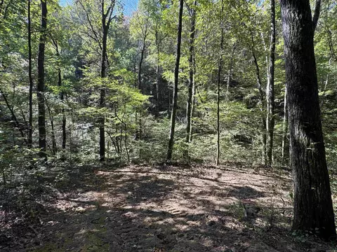 000 Archey Rd, Alread, AR 72031 photo 27