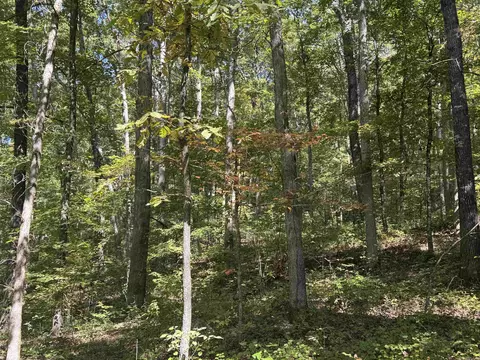 000 Archey Rd, Alread, AR 72031 photo 30