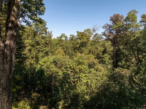 000 Archey Rd, Alread, AR 72031 photo 20