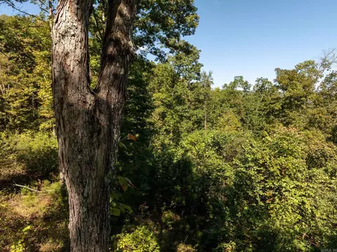 000 Archey Rd, Alread, AR 72031 photo 21