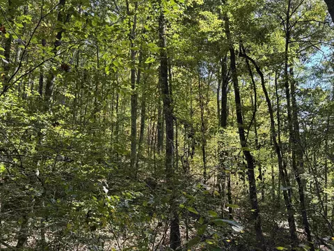 000 Archey Rd, Alread, AR 72031 photo 22