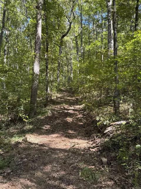 000 Archey Rd, Alread, AR 72031 photo 11