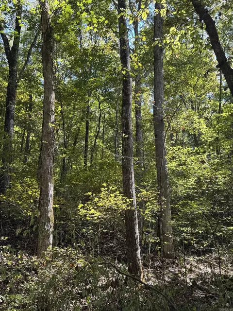 000 Archey Rd, Alread, AR 72031 photo 25