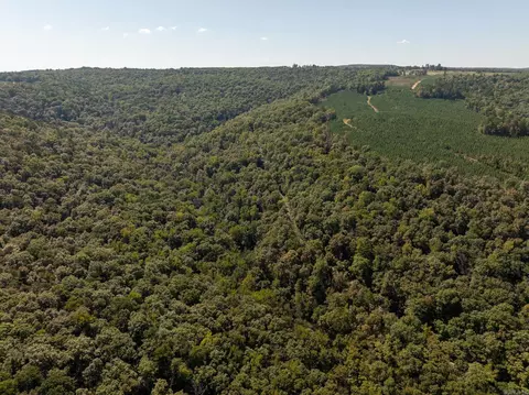 000 Archey Rd, Alread, AR 72031 photo 2