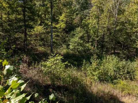 000 Archey Rd, Alread, AR 72031 photo 5
