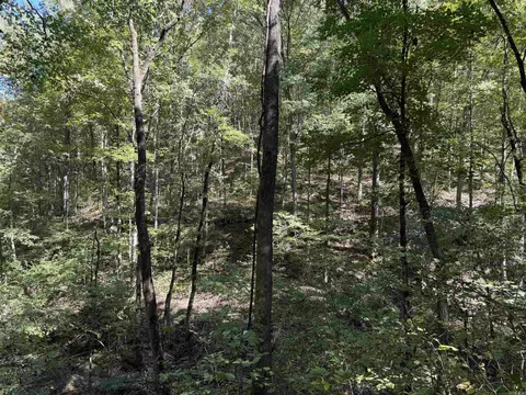 000 Archey Rd, Alread, AR 72031 photo 23