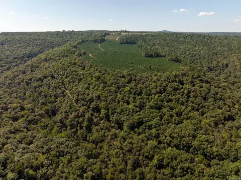 000 Archey Rd, Alread, AR 72031 photo 14