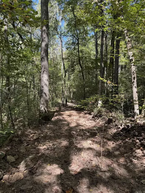 000 Archey Rd, Alread, AR 72031 photo 24