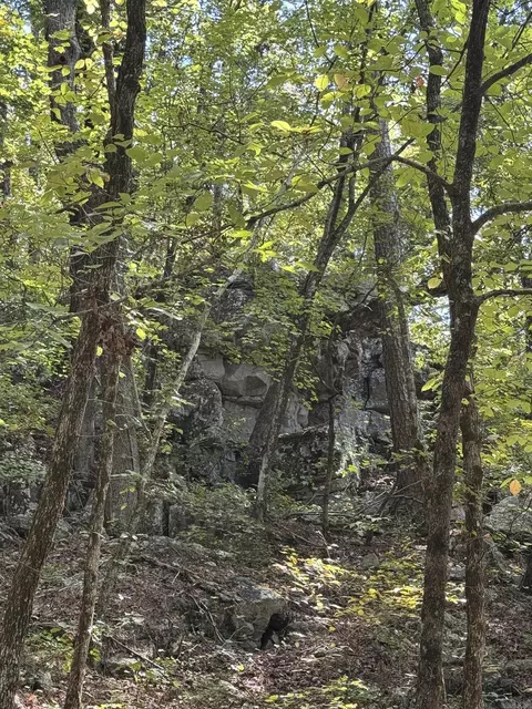 000 Archey Rd, Alread, AR 72031 photo 35