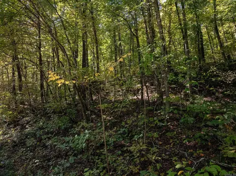 000 Archey Rd, Alread, AR 72031 photo 19