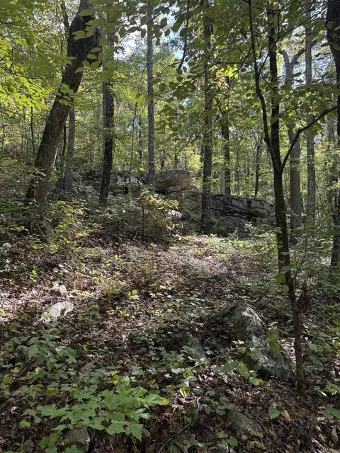 000 Archey Rd, Alread, AR 72031 photo 34