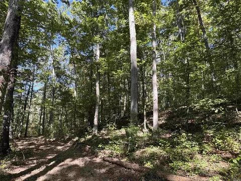 000 Archey Rd, Alread, AR 72031 photo 28