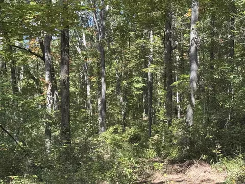 000 Archey Rd, Alread, AR 72031 photo 31