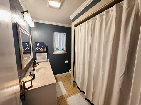 Bath - 137 N Pine St, Mount Ida, AR 71957 photo 3 of 4
