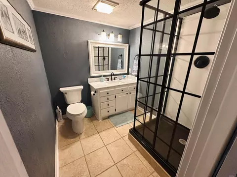 Bath - 137 N Pine St, Mount Ida, AR 71957 photo 4 of 4