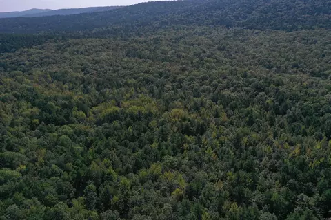 0000 Fs Rd 795, Bluffton, AR 72827