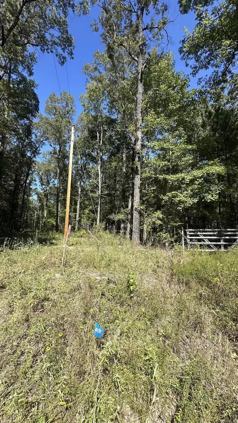 8911 Pine Meadow Dr, Sulphur Springs, AR 72603 photo 10