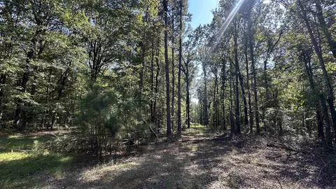 8911 Pine Meadow Dr, Sulphur Springs, AR 72603 photo 9
