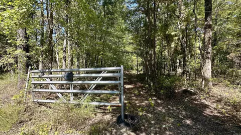8911 Pine Meadow Dr, Sulphur Springs, AR 72603 photo 5