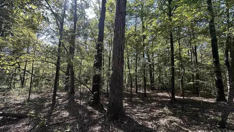 8911 Pine Meadow Dr, Sulphur Springs, AR 72603 photo 12