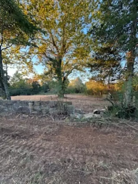 284 Old Dug Rd, Bee Branch, AR 72013 photo 1