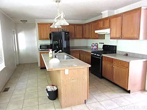 14 Prickley Pear Loop, Vilonia, AR 72173 photo 12