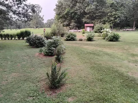 Exterior - 661 Cricket Pass Rd, Camp, AR 72520 photo 12 of 18