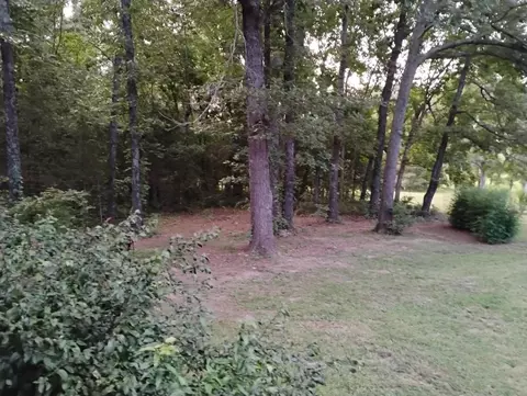 Exterior - 661 Cricket Pass Rd, Camp, AR 72520 photo 18 of 18